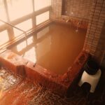 塩ヶ平温泉浴室イメージ