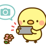 ひよこスマフォ撮影イメージ
