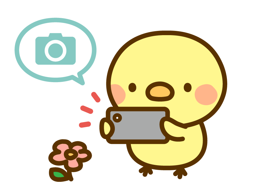 フォトコンテストアイキャッチ